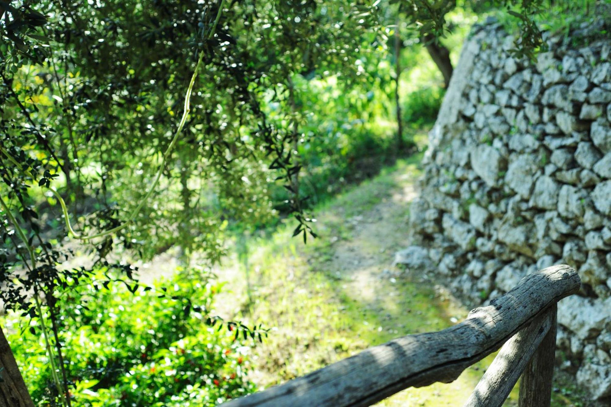 Villa Rina Amalfi Eksteriør bilde